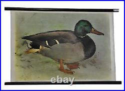 Retro wall map rolling picture vintage animal poster stick duck peel marty decoration